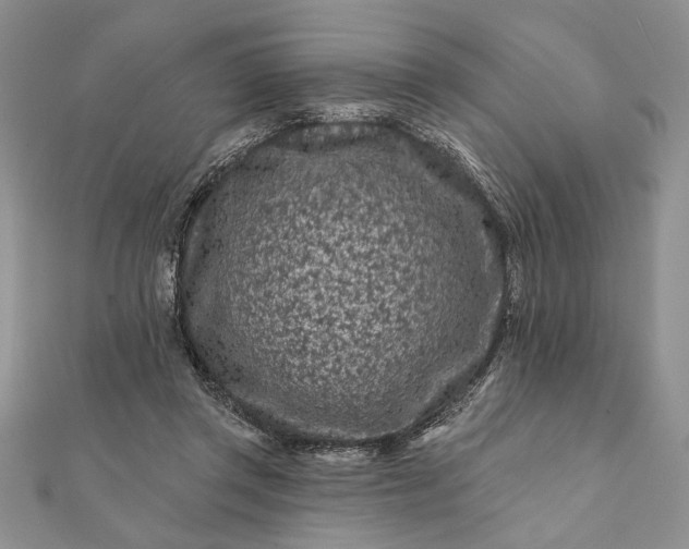 X0000112060357200908181203