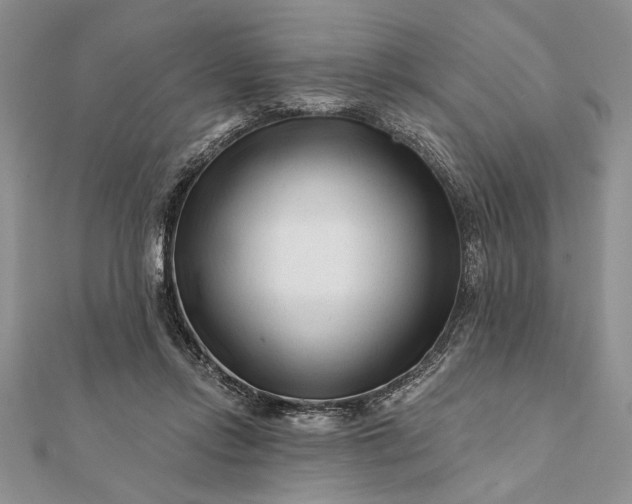 X0000112060358200908181203