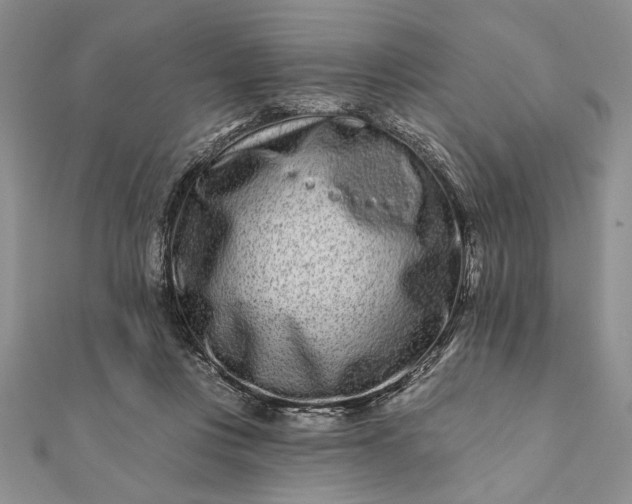 X0000112060359200908181203