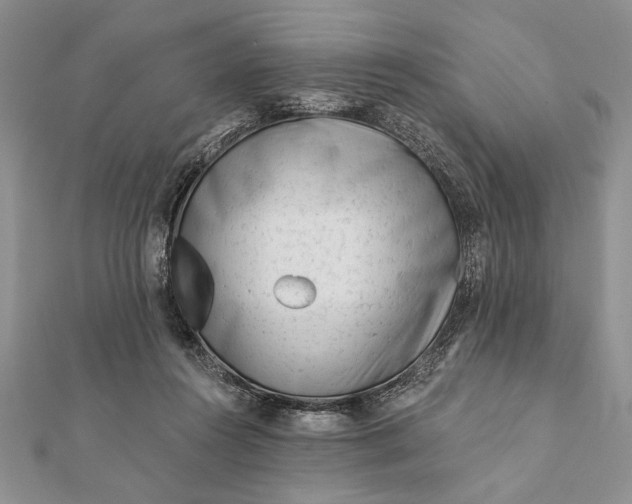 X0000112060360200908181203