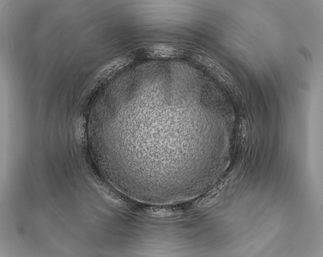 X0000112060361200908181203