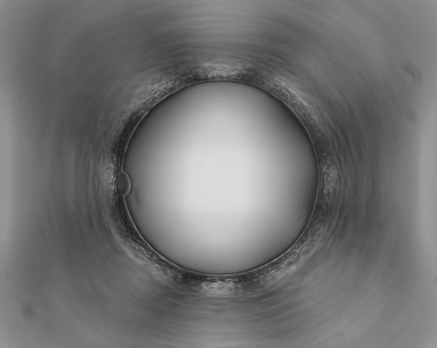 X0000112060362200908181203