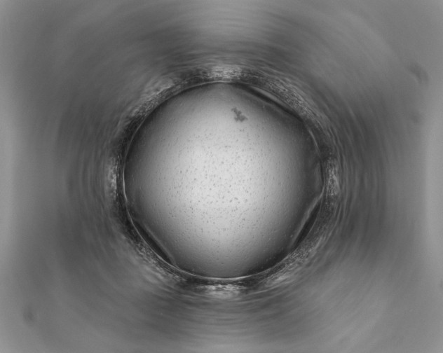 X0000112060363200908181203