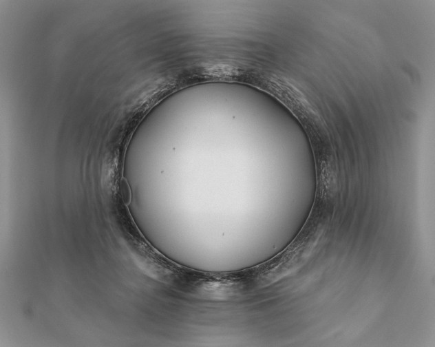 X0000112060364200908181203