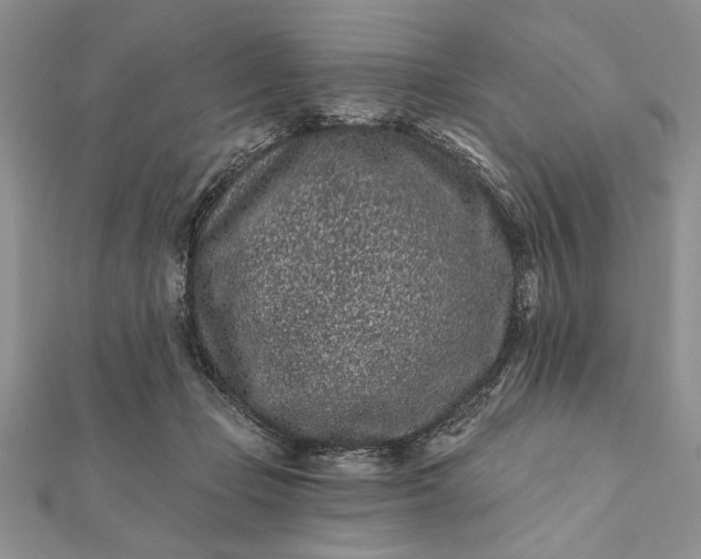 X0000112060365200908181203