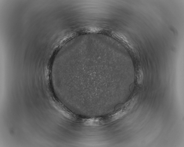 X0000112060366200908181203