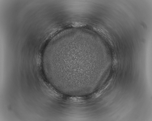 X0000112060367200908181203