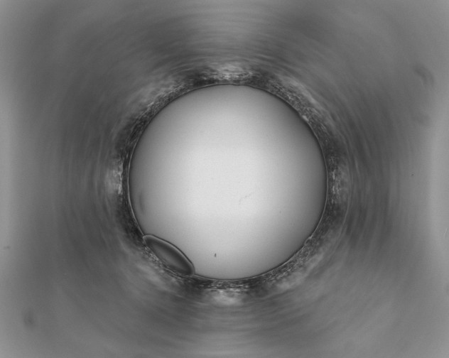 X0000112060368200908181203