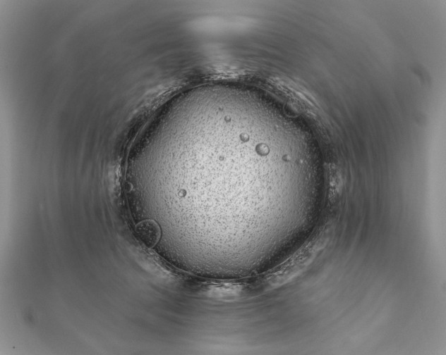 X0000112060369200908181203