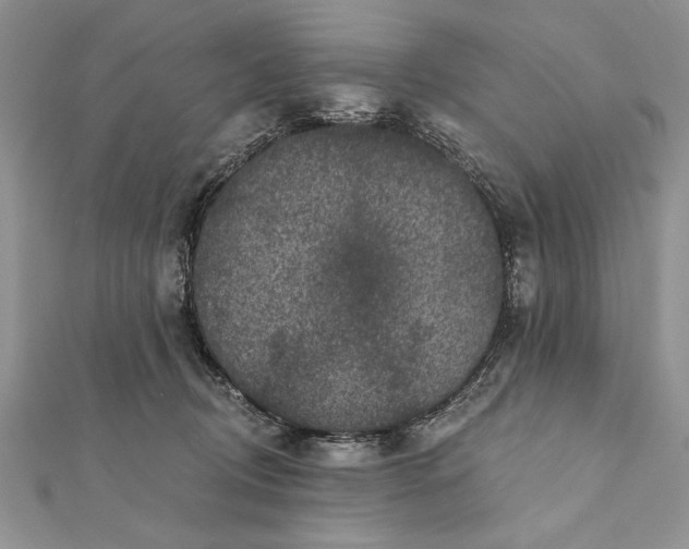 X0000112060370200908181203