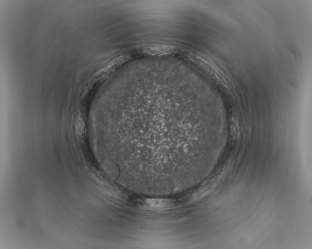 X0000112060371200908181203