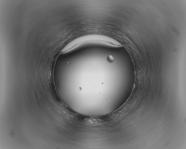 X0000112060372200908181203