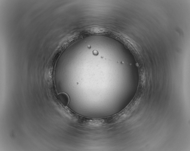 X0000112060373200908181203