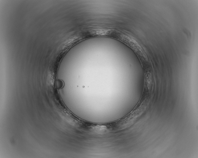 X0000112060374200908181203