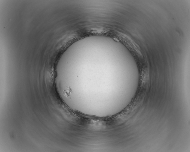 X0000112060376200908181203