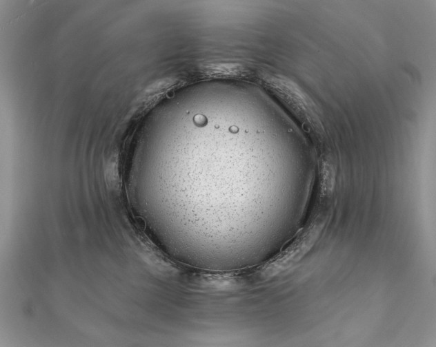 X0000112060377200908181203