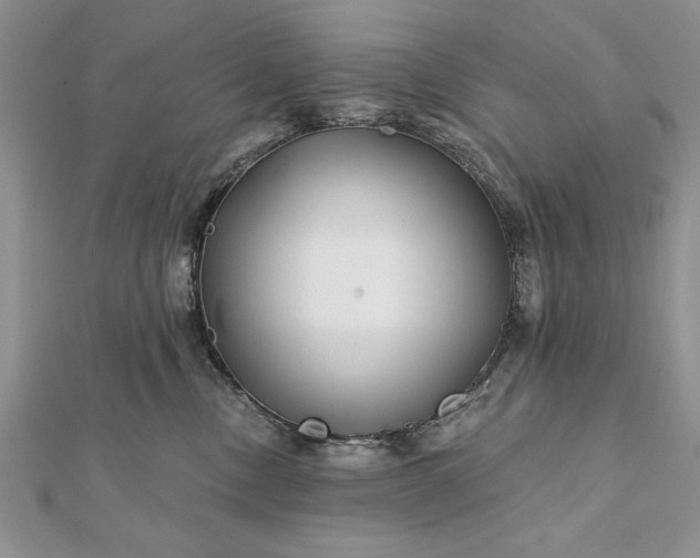 X0000112060378200908181203