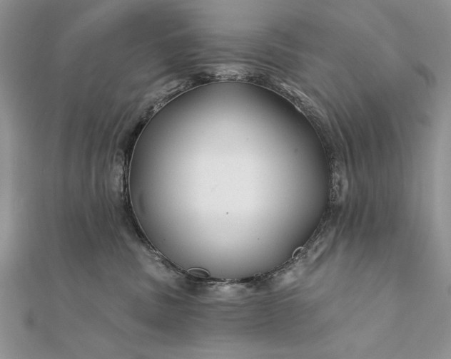 X0000112060379200908181203