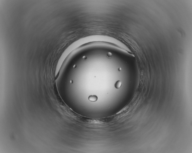 X0000112060380200908181203