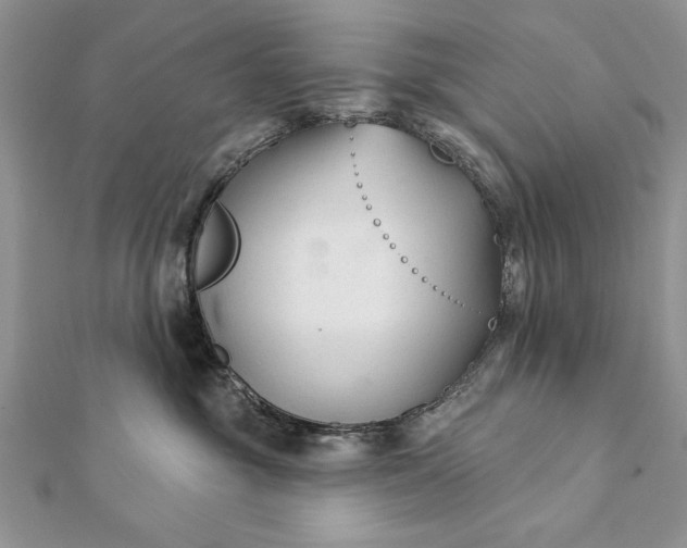 X0000112060381200908181203