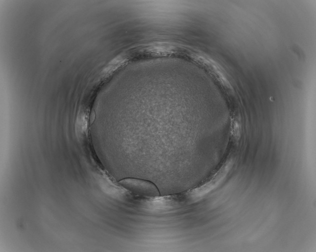 X0000112060382200908181203