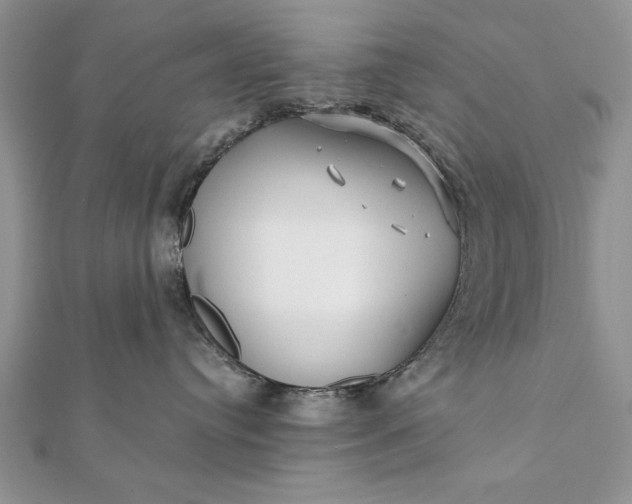 X0000112060384200908181203