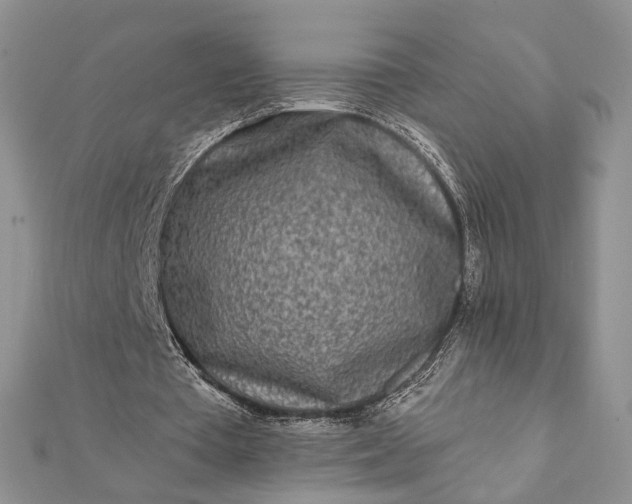 X0000112060385200908181203