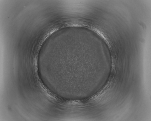 X0000112060386200908181203