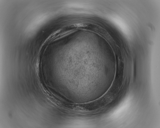 X0000112060387200908181203