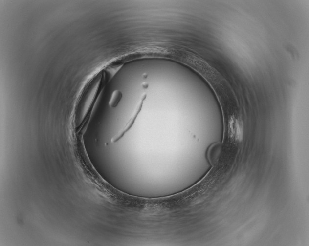 X0000112060388200908181203