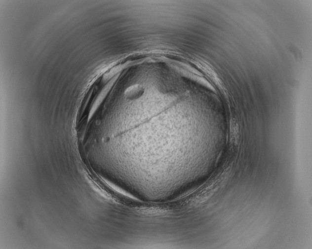 X0000112060389200908181203