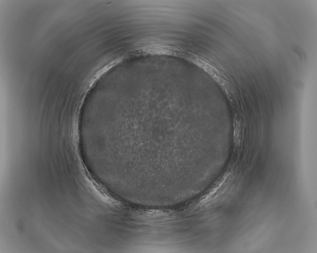 X0000112060390200908181203