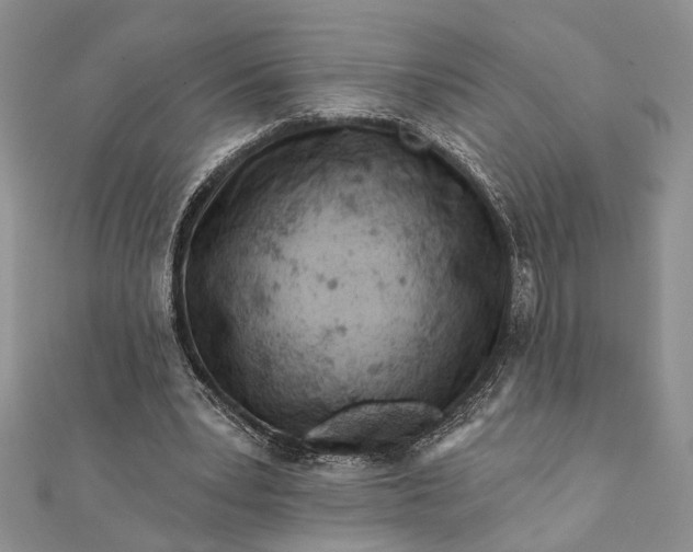 X0000112060391200908181203