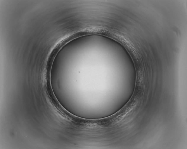 X0000112060392200908181203