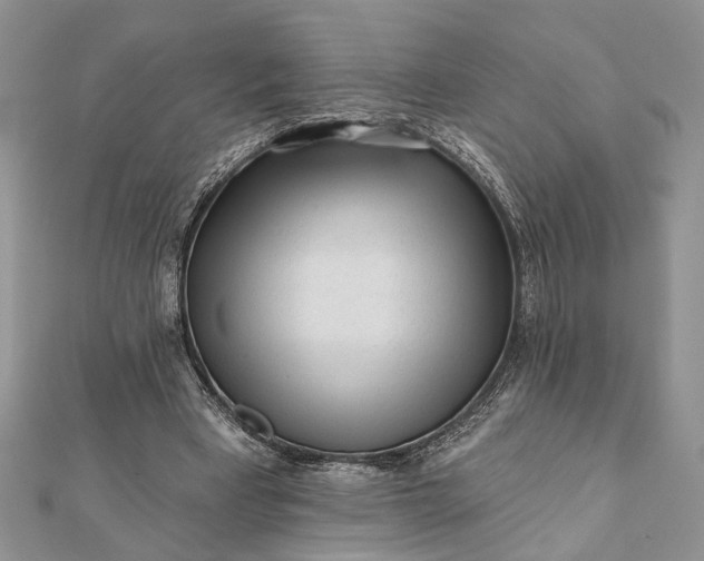 X0000112060393200908181203