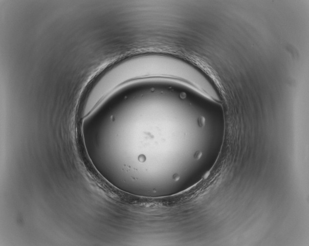 X0000112060395200908181203