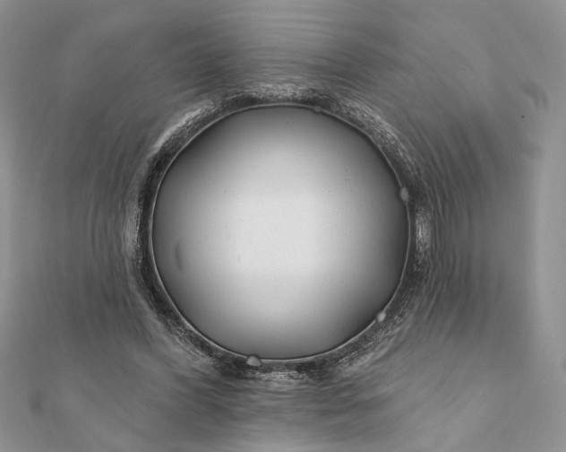 X0000112060396200908181203