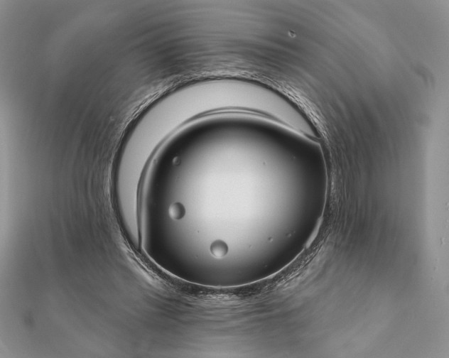 X0000112060397200908181202