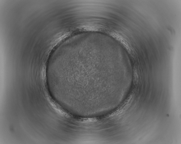 X0000112060398200908181202