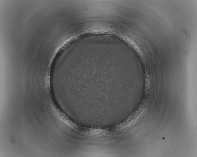 X0000112060399200908181202