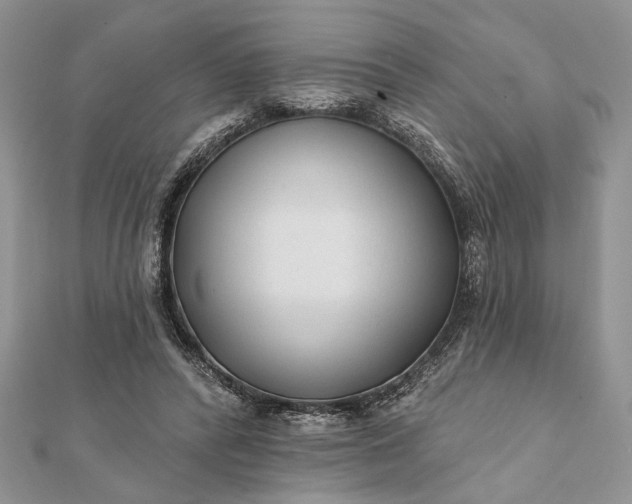 X0000112060400200908181202