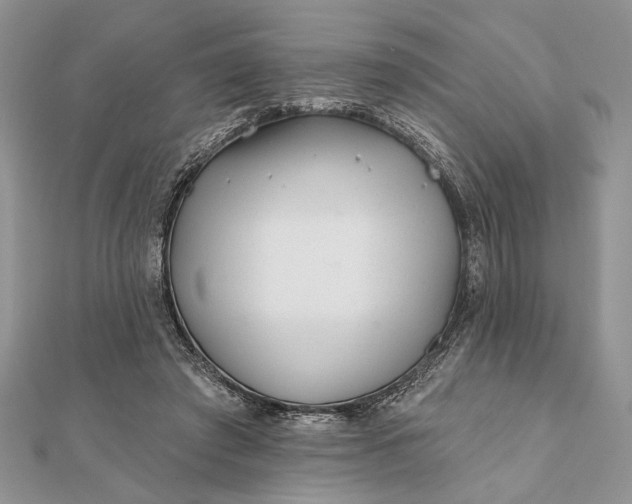 X0000112060401200908181202