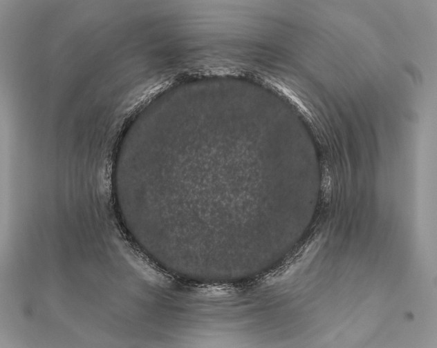 X0000112060402200908181202