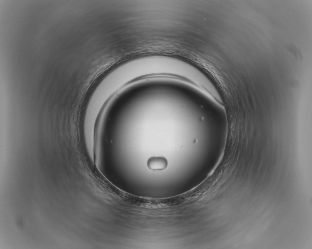 X0000112060403200908181202