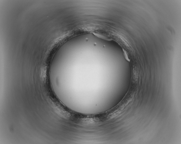 X0000112060404200908181202