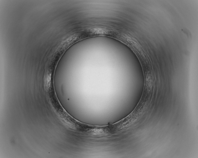 X0000112060406200908181202