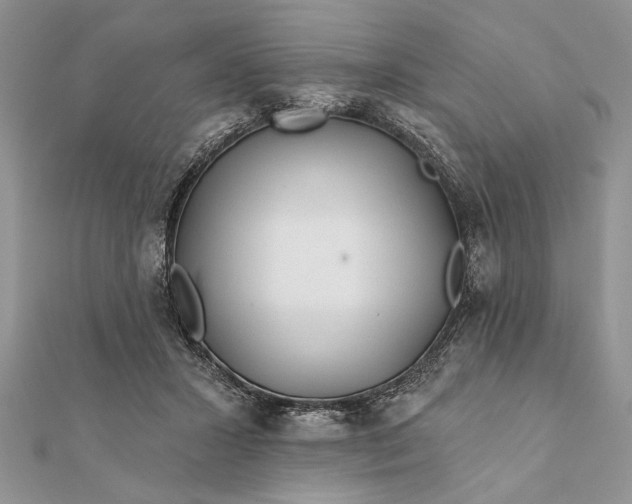 X0000112060407200908181202