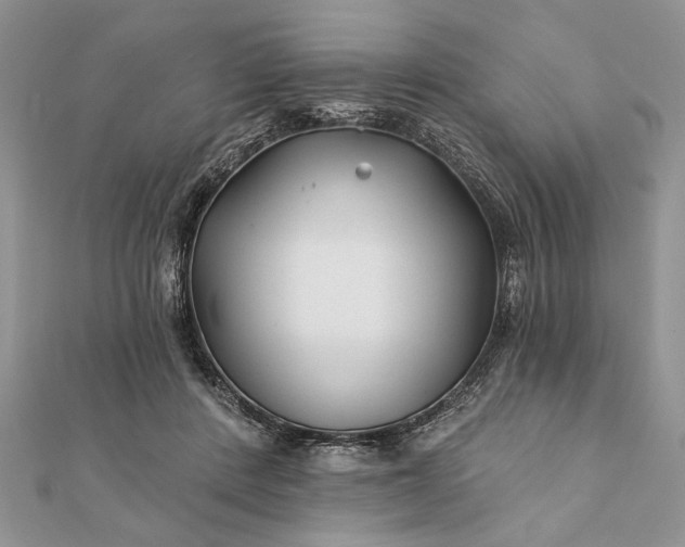 X0000112060408200908181202