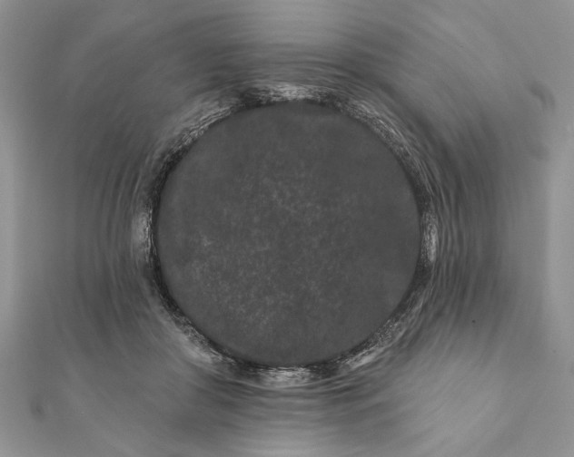 X0000112060410200908181202