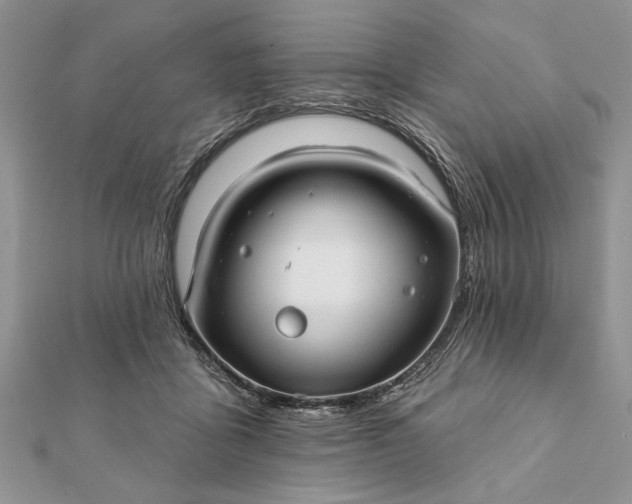 X0000112060411200908181202